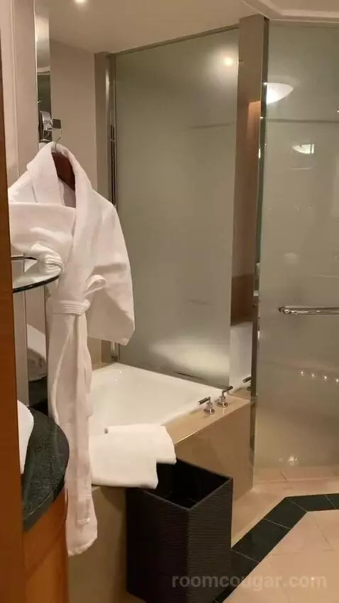 2 Double Beds, Skyline View, Guest Room (#5015) bathroom picture #5