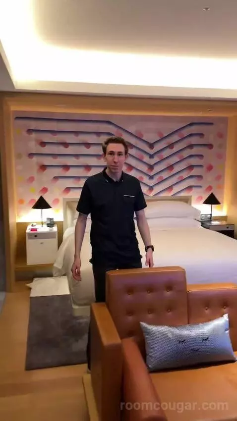 1 King Bed, Wow Suite bed picture #1