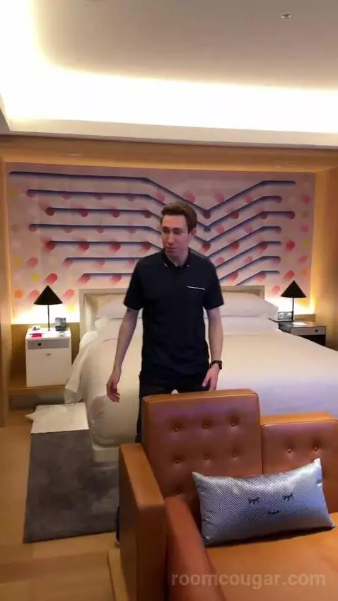 1 King Bed, Wow Suite bed picture #2