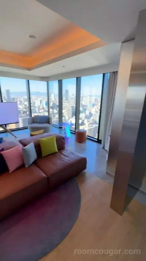 1 King Bed, Wow Suite view picture #2