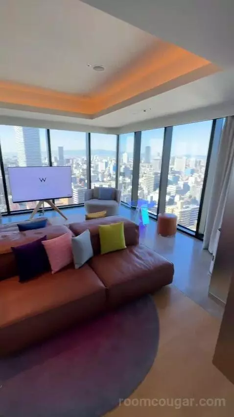 1 King Bed, Wow Suite view picture #4