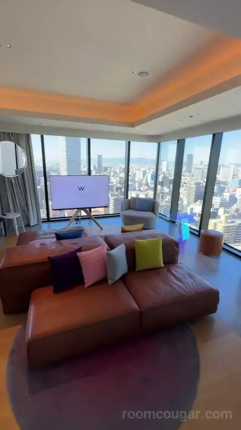 1 King Bed, Wow Suite view picture #6