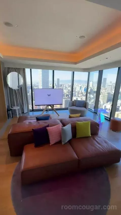 1 King Bed, Wow Suite view picture #7