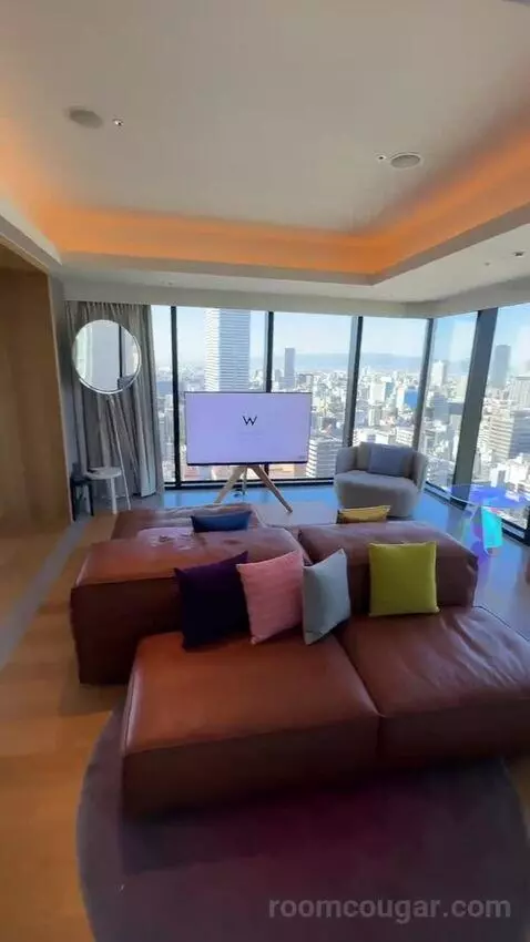 1 King Bed, Wow Suite view picture #8