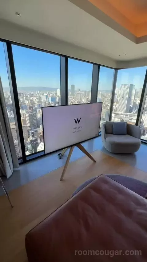 1 King Bed, Wow Suite view picture #9