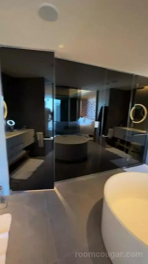 1 King Bed, Wow Suite bathroom picture #10