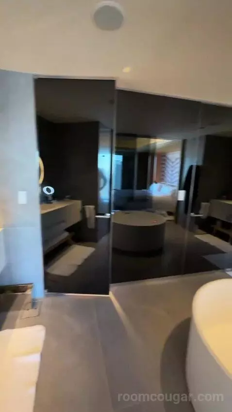 1 King Bed, Wow Suite bathroom picture #11