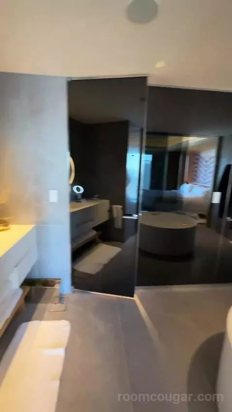 1 King Bed, Wow Suite bathroom picture #12