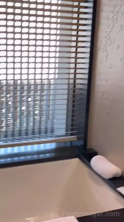 1 King Bed, Courtyard View, Guest Room bathroom picture #10