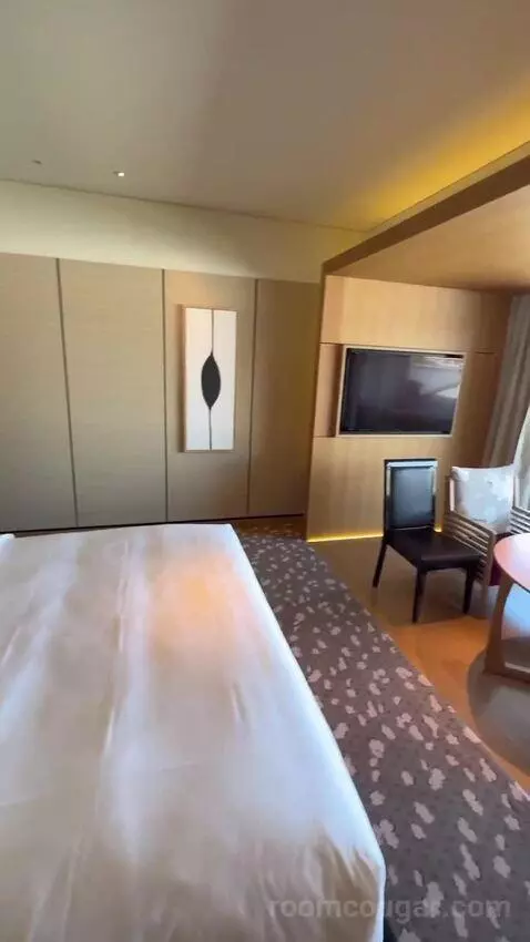 1 King Bed, Courtyard View, Guest Room bed picture #3