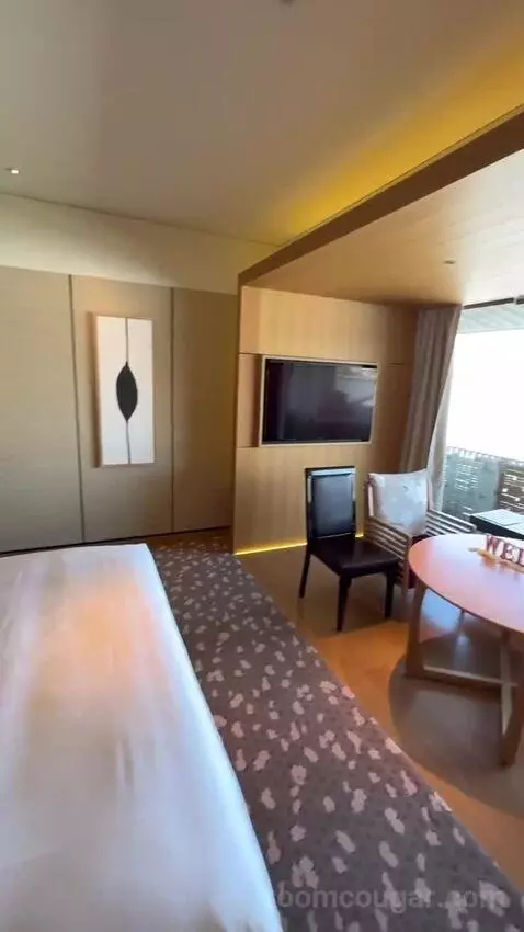 1 King Bed, Courtyard View, Guest Room bed picture #5