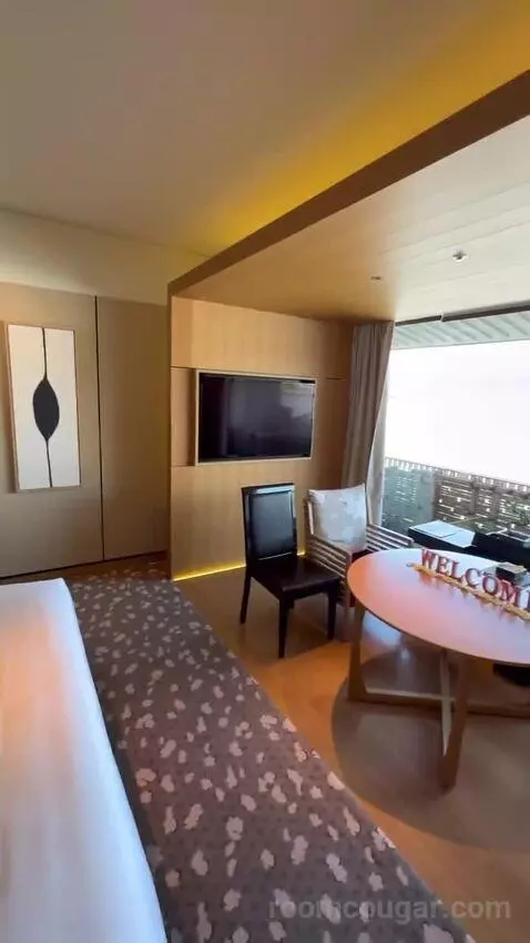 1 King Bed, Courtyard View, Guest Room bed picture #7