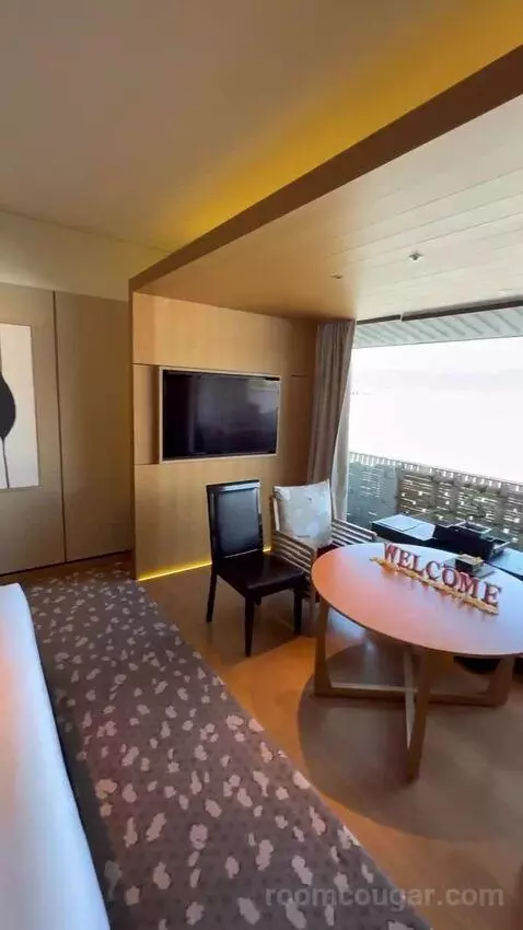 1 King Bed, Courtyard View, Guest Room bed picture #8