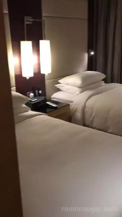 2 Twin/Single Beds, Executive Lounge Access, Guest Room bed picture #1
