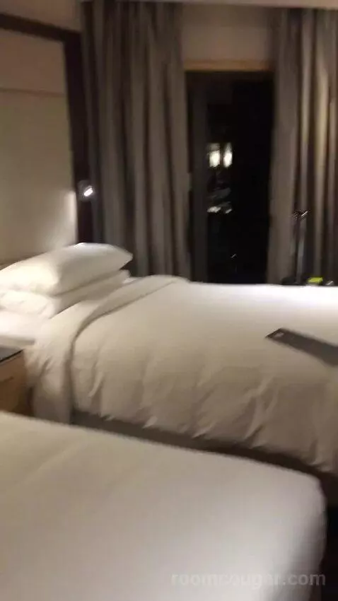2 Twin/Single Beds, Executive Lounge Access, Guest Room bed picture #2