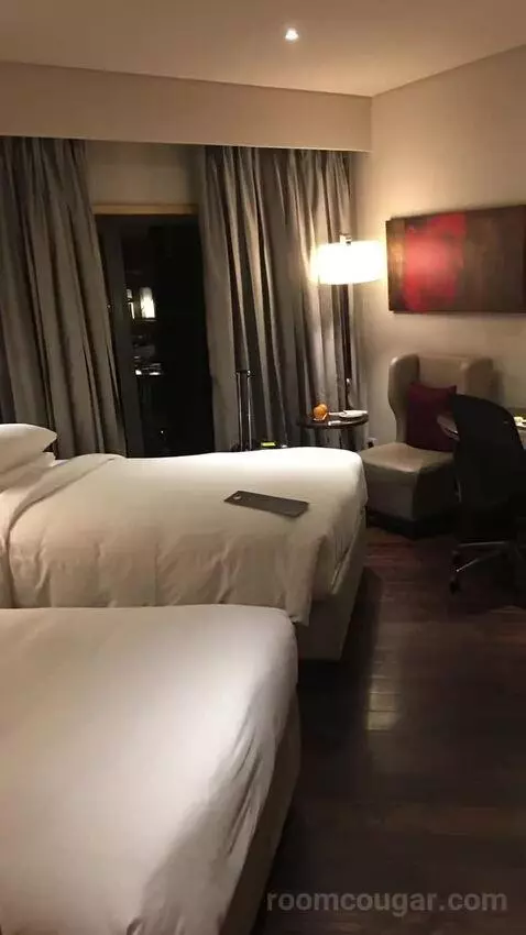 2 Twin/Single Beds, Executive Lounge Access, Guest Room bed picture #6
