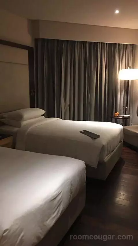 2 Twin/Single Beds, Executive Lounge Access, Guest Room bed picture #7