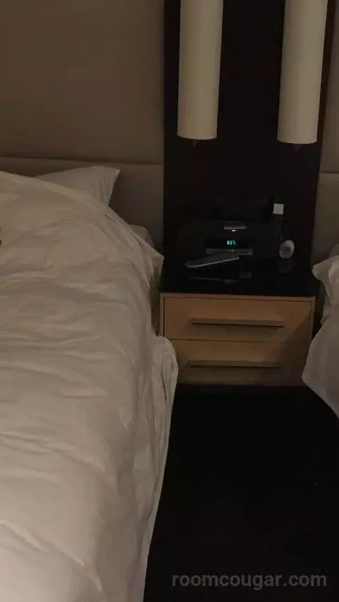 2 Twin/Single Beds, Executive Lounge Access, Guest Room bed picture #8