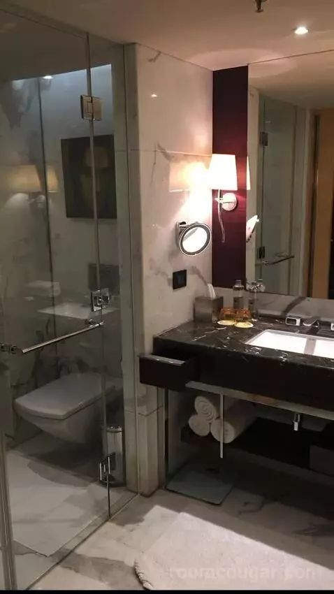 2 Twin/Single Beds, Executive Lounge Access, Guest Room bathroom picture #4