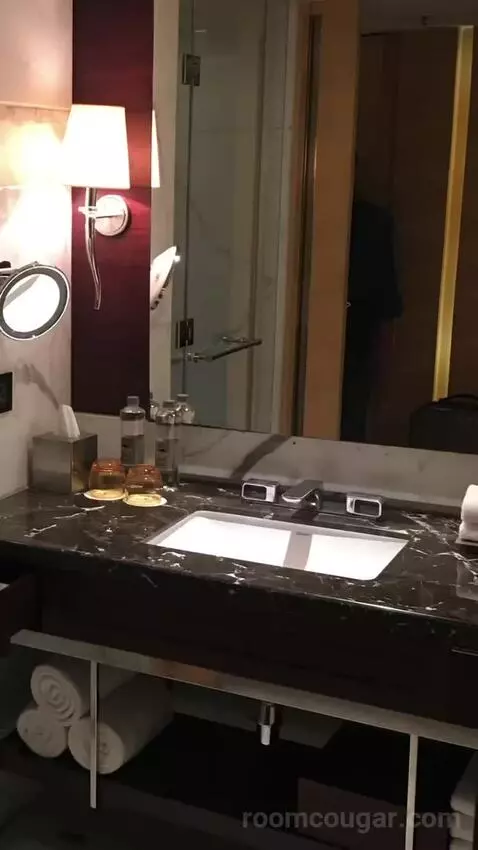 2 Twin/Single Beds, Executive Lounge Access, Guest Room bathroom picture #5
