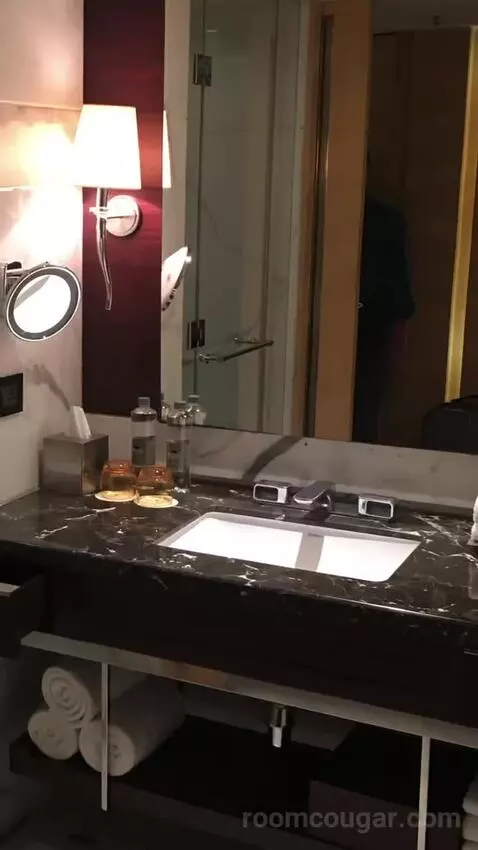 2 Twin/Single Beds, Executive Lounge Access, Guest Room bathroom picture #6