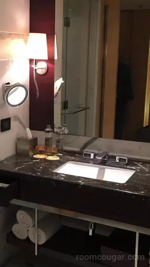 2 Twin/Single Beds, Executive Lounge Access, Guest Room bathroom picture #7