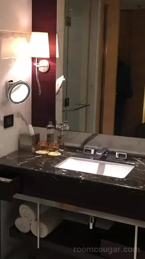 2 Twin/Single Beds, Executive Lounge Access, Guest Room bathroom picture #8