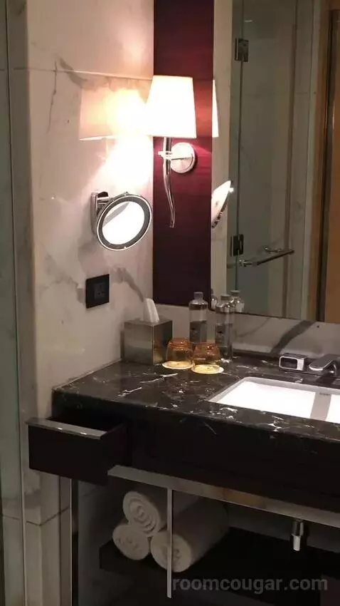2 Twin/Single Beds, Executive Lounge Access, Guest Room bathroom picture #9