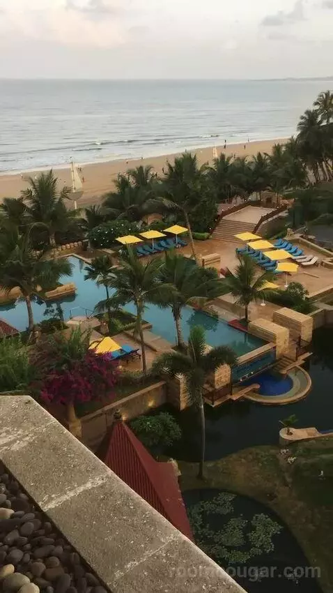 2 Twin/Single Beds, Executive Lounge Access, Guest Room view picture #1