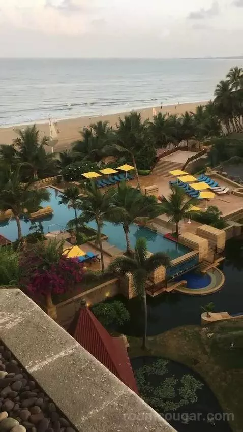 2 Twin/Single Beds, Executive Lounge Access, Guest Room view picture #2