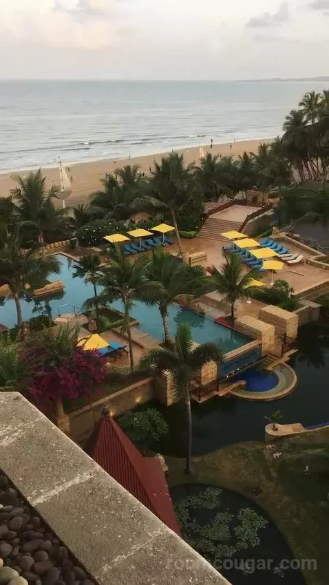 2 Twin/Single Beds, Executive Lounge Access, Guest Room view picture #4