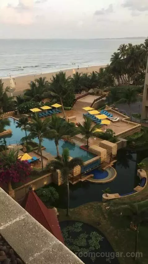 2 Twin/Single Beds, Executive Lounge Access, Guest Room view picture #5