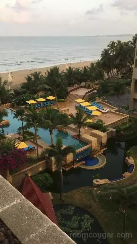 2 Twin/Single Beds, Executive Lounge Access, Guest Room view picture #6