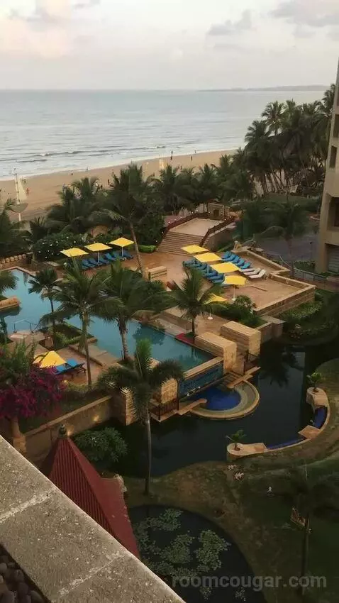 2 Twin/Single Beds, Executive Lounge Access, Guest Room view picture #7
