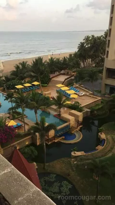 2 Twin/Single Beds, Executive Lounge Access, Guest Room view picture #9
