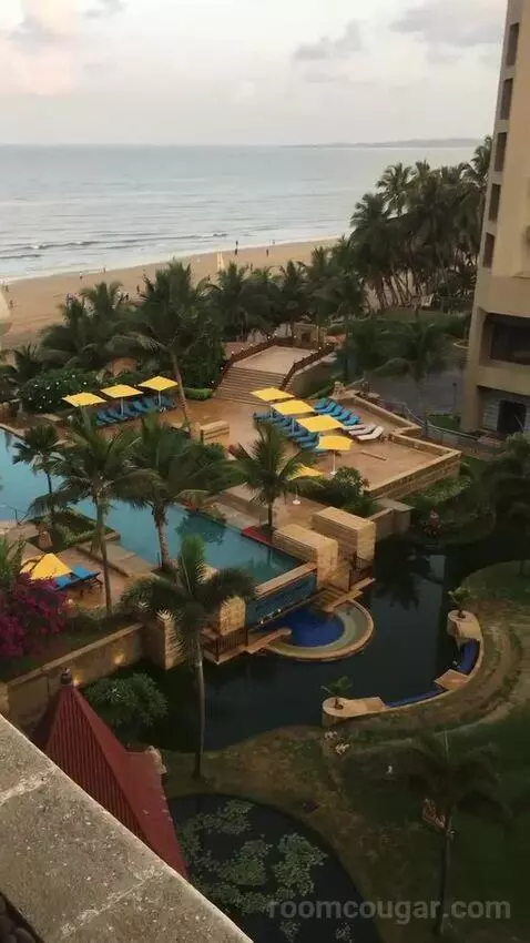 2 Twin/Single Beds, Executive Lounge Access, Guest Room view picture #10