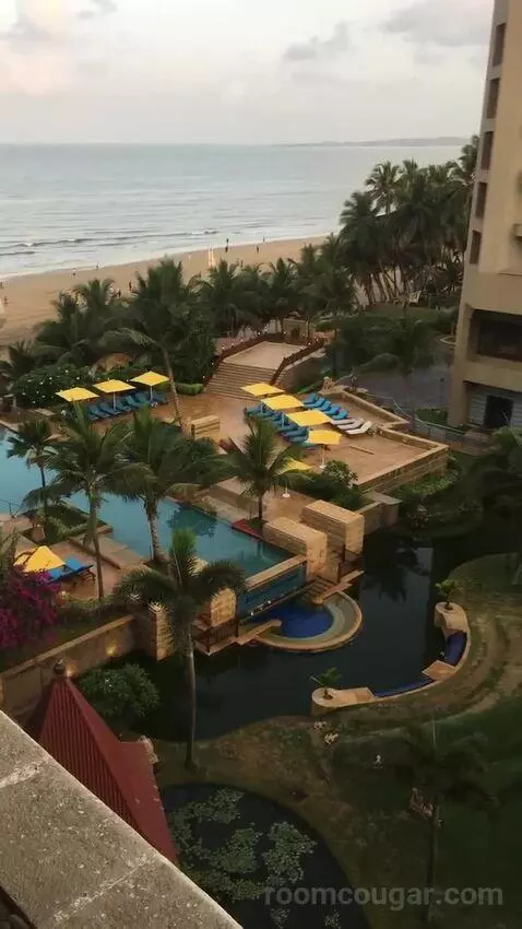 2 Twin/Single Beds, Executive Lounge Access, Guest Room view picture #11