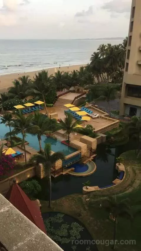 2 Twin/Single Beds, Executive Lounge Access, Guest Room view picture #12