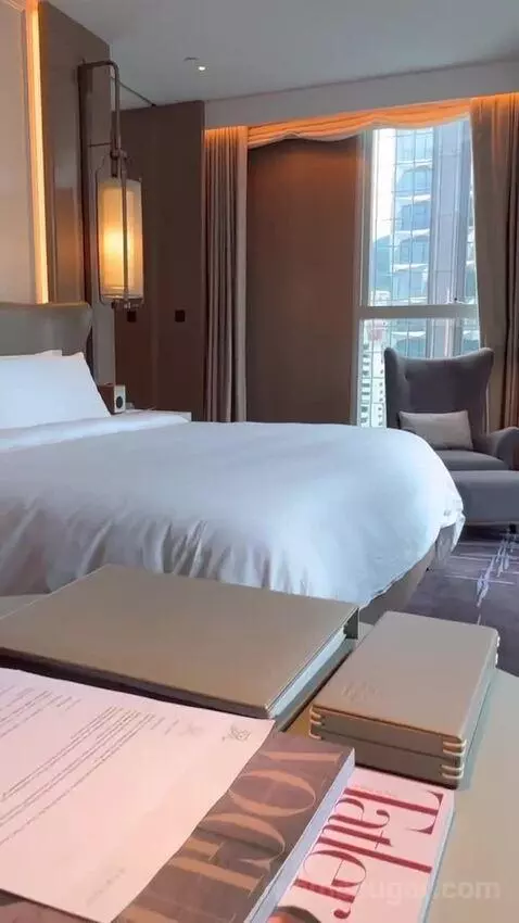 Metropolitan Suite, 1 Bedroom Suite, 1 King, Partial Harbour View bed picture #4