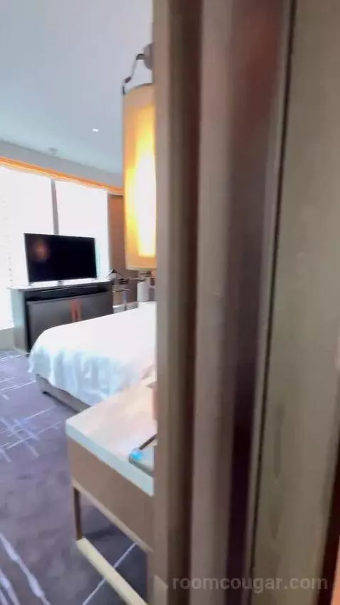 Metropolitan Suite, 1 Bedroom Suite, 1 King, Partial Harbour View bed picture #5