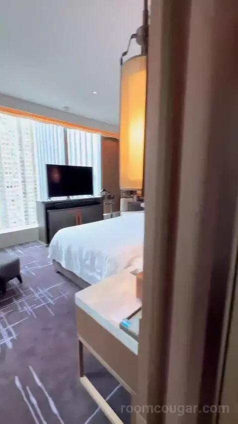 Metropolitan Suite, 1 Bedroom Suite, 1 King, Partial Harbour View bed picture #6