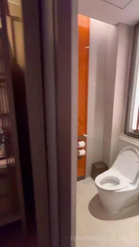 Metropolitan Suite, 1 Bedroom Suite, 1 King, Partial Harbour View bathroom picture #3
