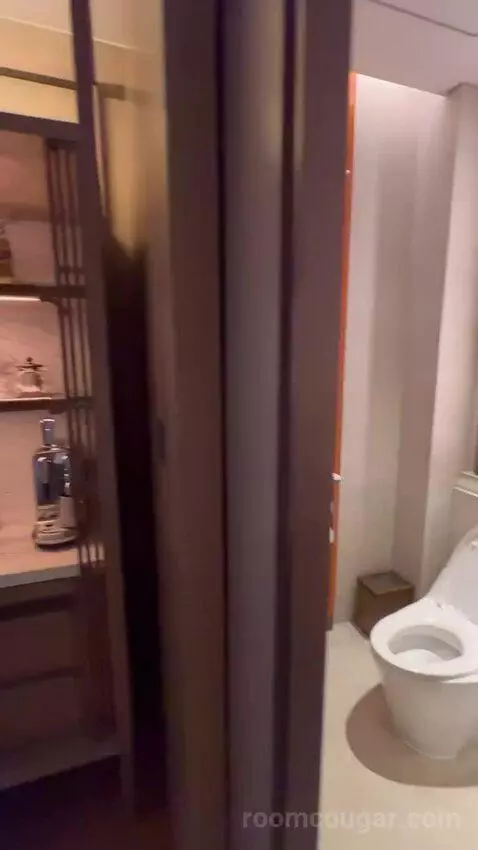 Metropolitan Suite, 1 Bedroom Suite, 1 King, Partial Harbour View bathroom picture #4
