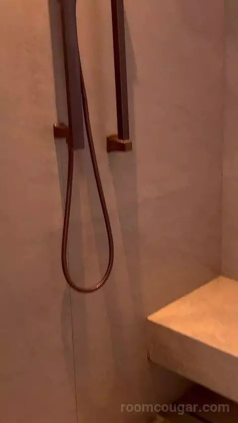 Metropolitan Suite, 1 Bedroom Suite, 1 King, Partial Harbour View bathroom picture #7