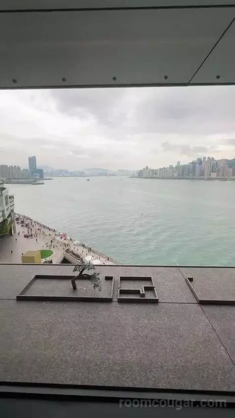 1 King Corner Suite with Sea View - Regent Club Access view picture #3