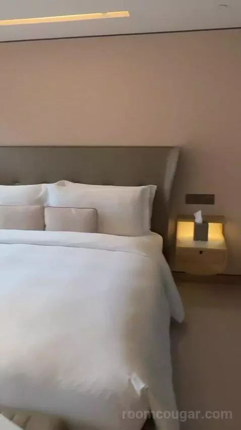 1 Super King Studio Suite Kowloon View bed picture #3