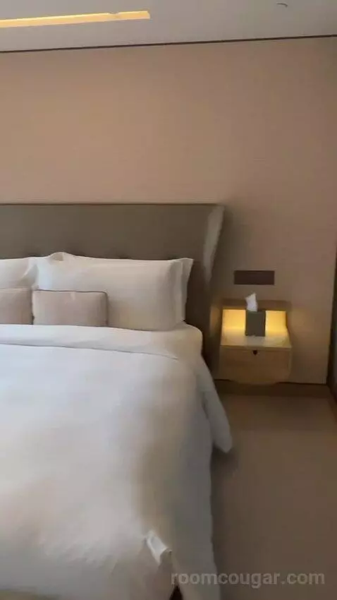 1 Super King Studio Suite Kowloon View bed picture #4