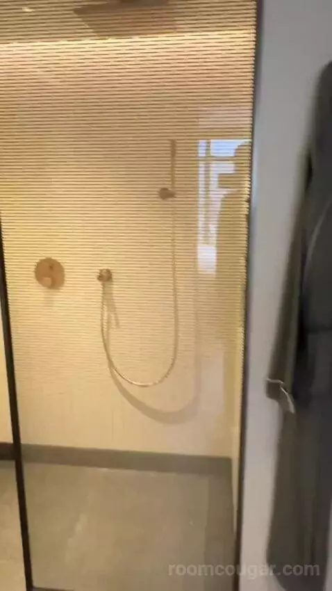 1 Super King Studio Suite Kowloon View bathroom picture #6