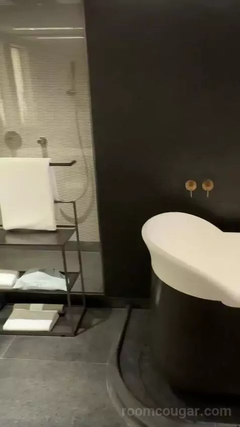 2 Twin Classic Harbour View bathroom picture #3