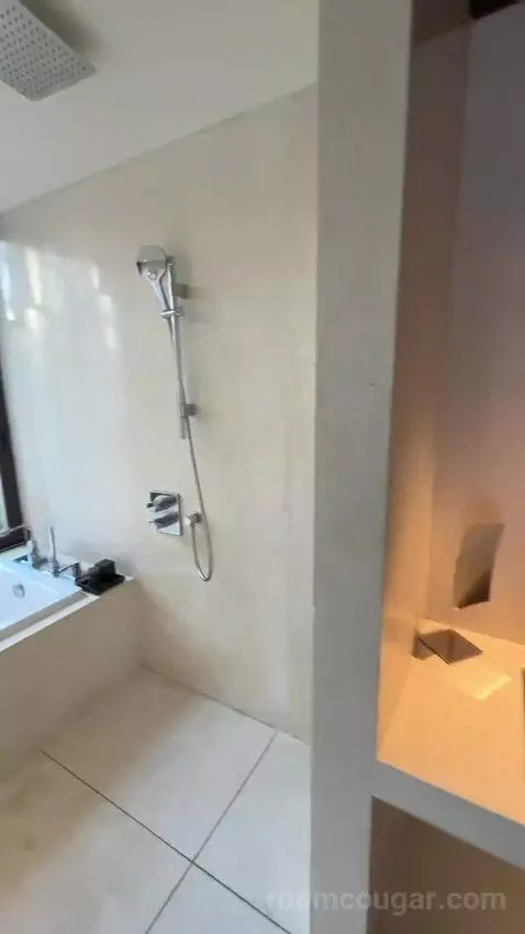 Terrace Suite bathroom picture #1